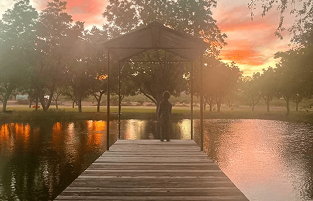 Oldfield Oasis