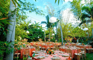 The Bamboo Gallery, RentATrolley