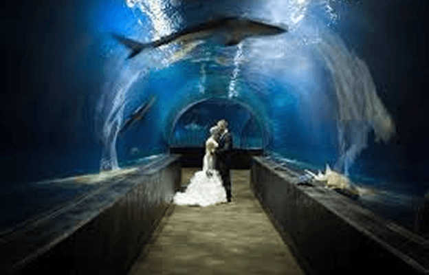 Oklahoma Aquarium